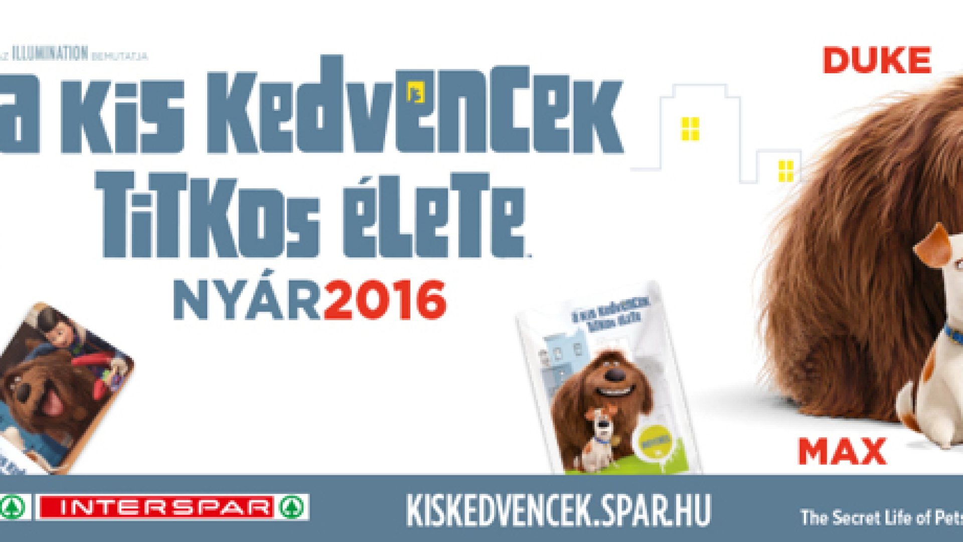 A Kis Kedvencek! Megérkeztek Nagy Kedvenceink, A Kis Kedvencek!