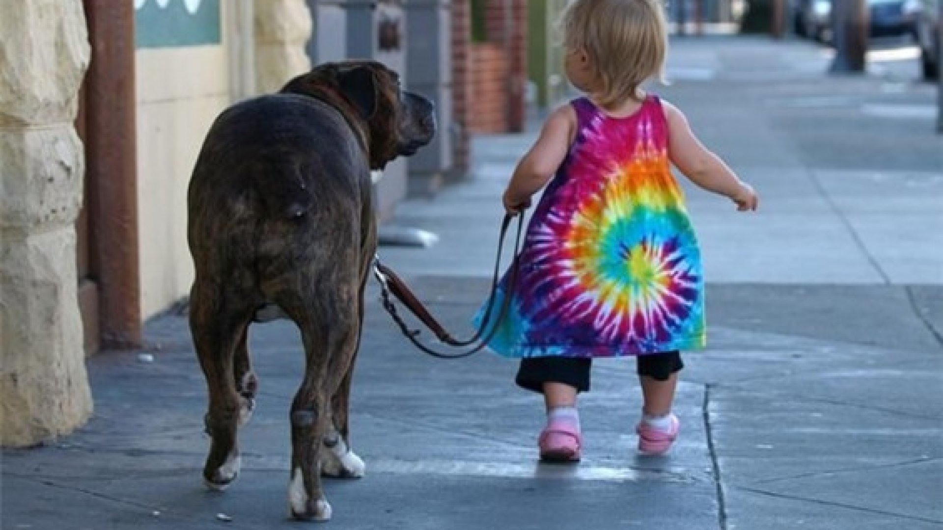 Kutyák és gyerekek