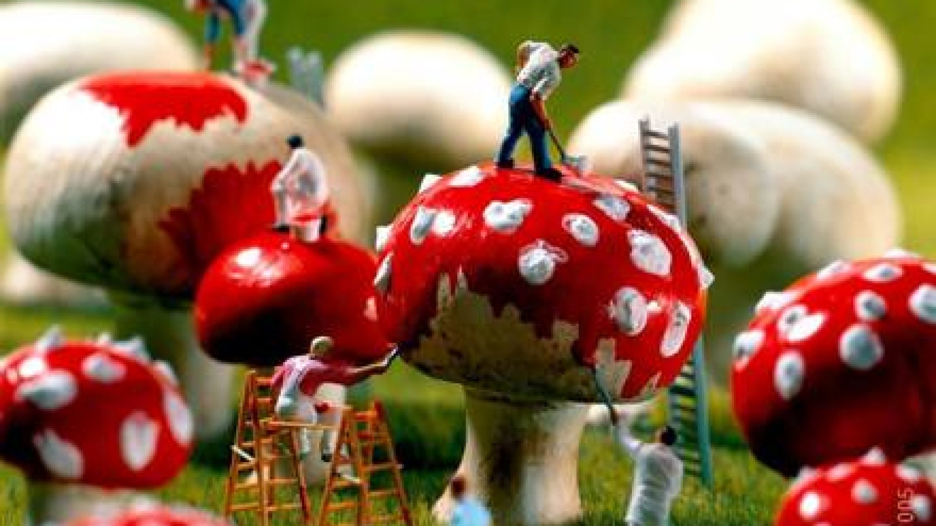 Gyümölcsök ihlették