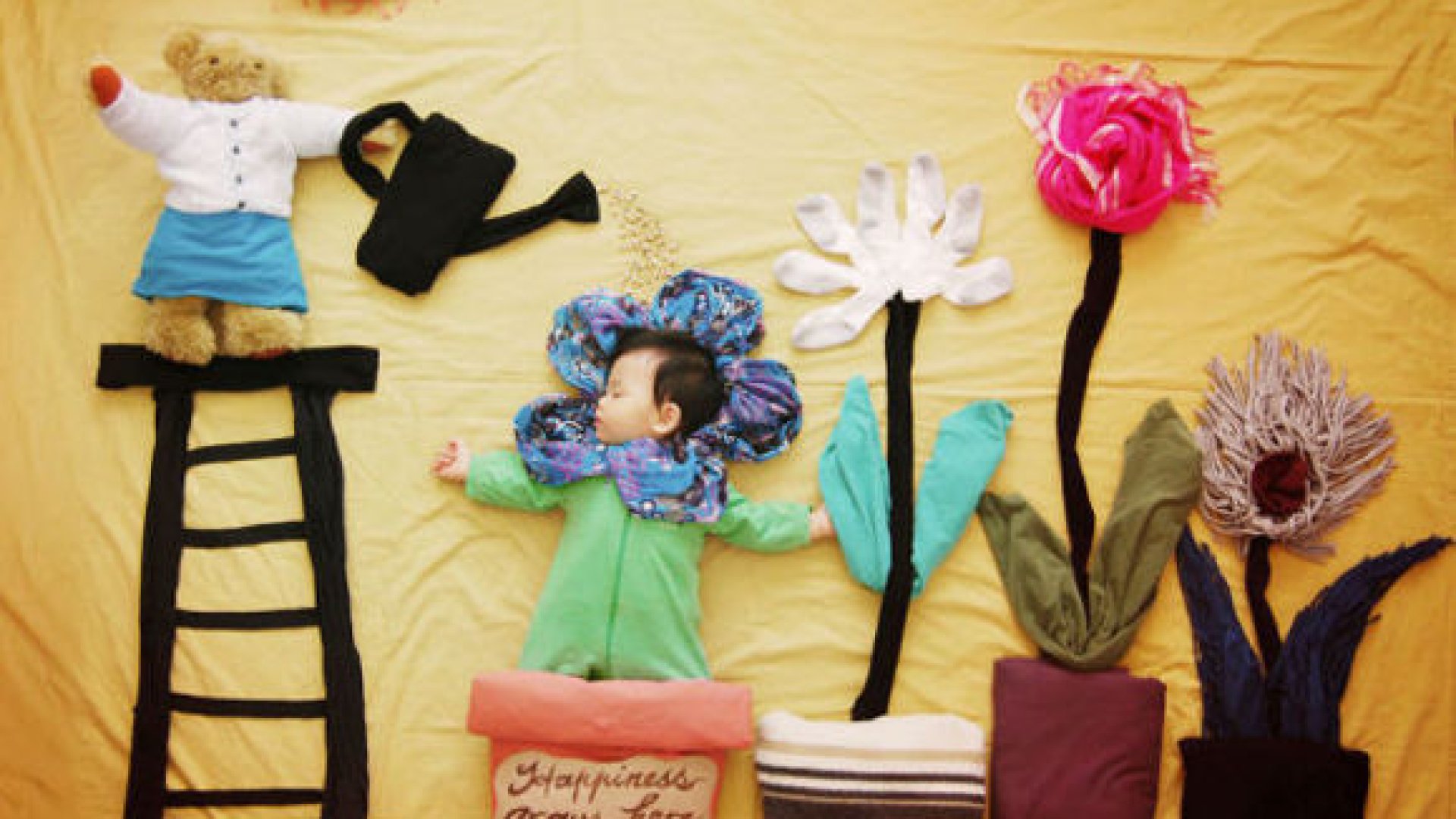 csodálatos álomvilág