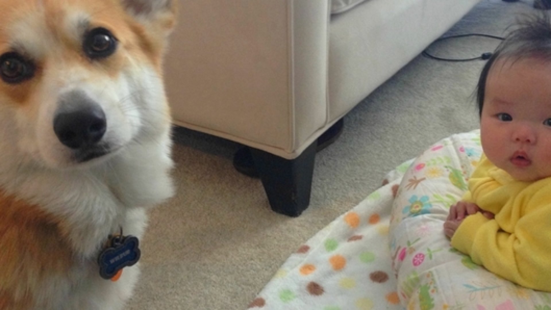 Ez a fotósorozat ismét bebizonyítja, hogy teljesen jól megfér egymás mellett egy baba és egy kutya – sőt, igazi barátok is lehetnek! Nézzétek meg a fotókat, szívmelengetőek! :)