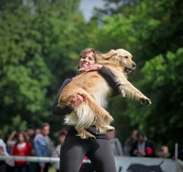 Kutyális a Városligetben Kutyás Majális a Városligetben