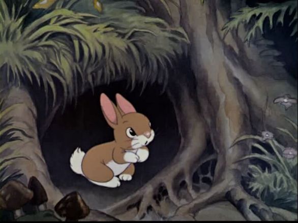 Kedvenc Disney nyuszikáink :) Kedvenc Disney nyuszikáink :)