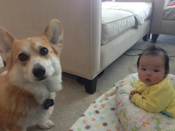 Ez a fotósorozat ismét bebizonyítja, hogy teljesen jól megfér egymás mellett egy baba és egy kutya – sőt, igazi barátok is lehetnek! Nézzétek meg a fotókat, szívmelengetőek! :)