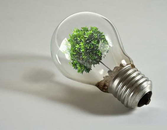Nemzetközi energiatakarossági világnap Nemzetközi energiatakarossági világnap